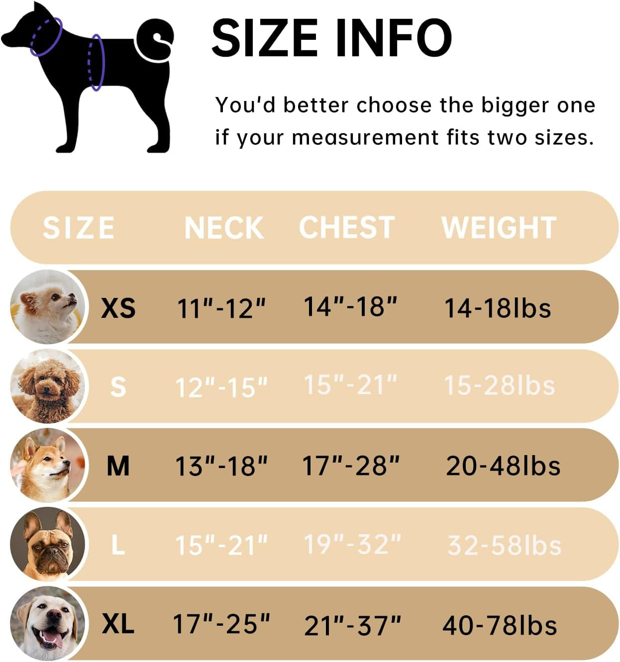 No Pull Dog Harness Set